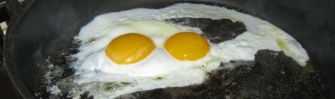 Double-yolked egg